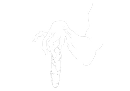 Esența și perenitatea comunismului